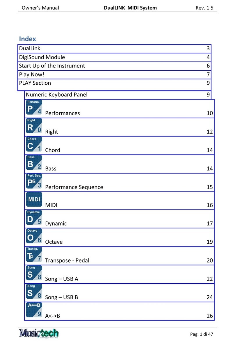 Musictech DualLINK owner's manual