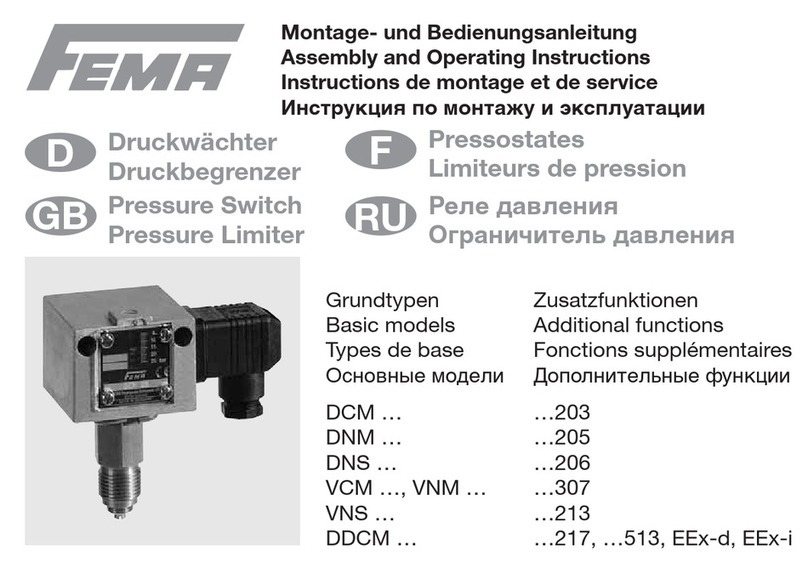 Fema DCM Series User manual