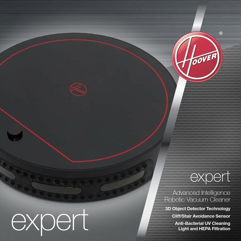 Hoover Expert manual