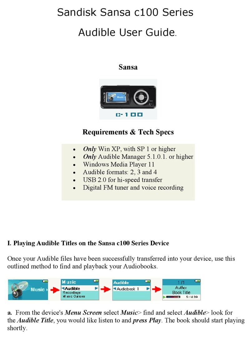 SanDisk Sansa C100 user guide