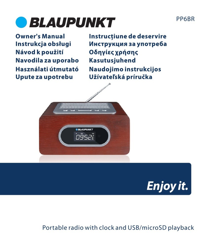Blaupunkt PP6BR owner's manual