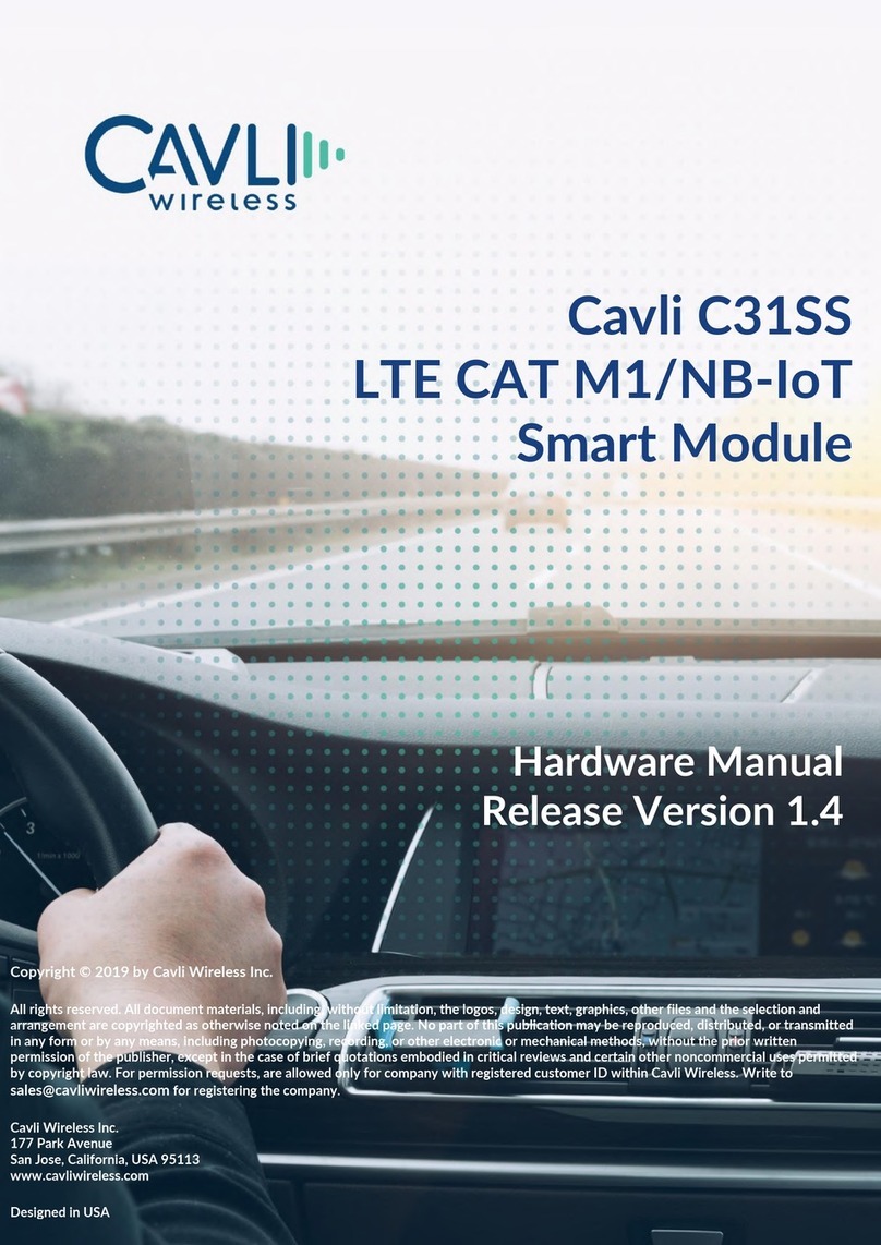 Cavli Wireless C31SS Hardware manual
