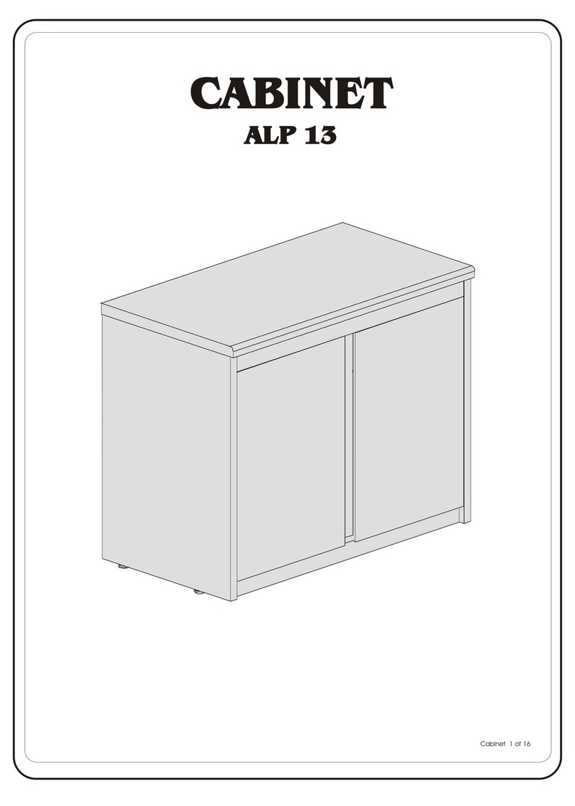 RUDNICK CABINET ALP 13 User manual