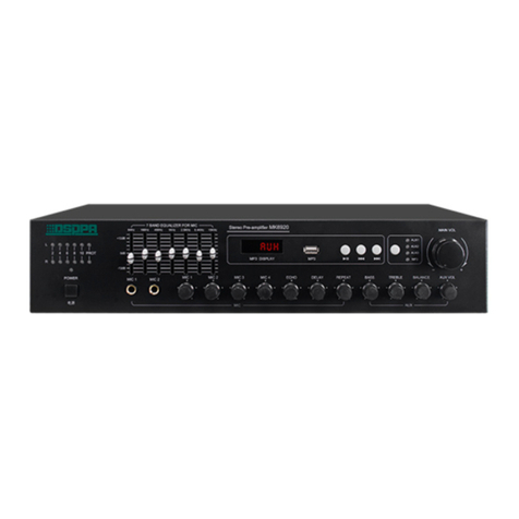 DSPPA MK6906 User manual