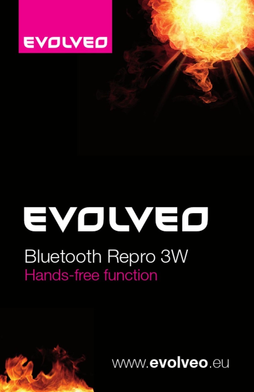Evolveo Bluetooth Repro 3W User manual