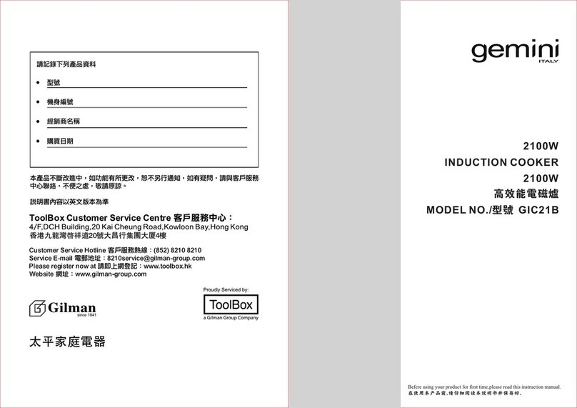 Gemini GIC21B user manual