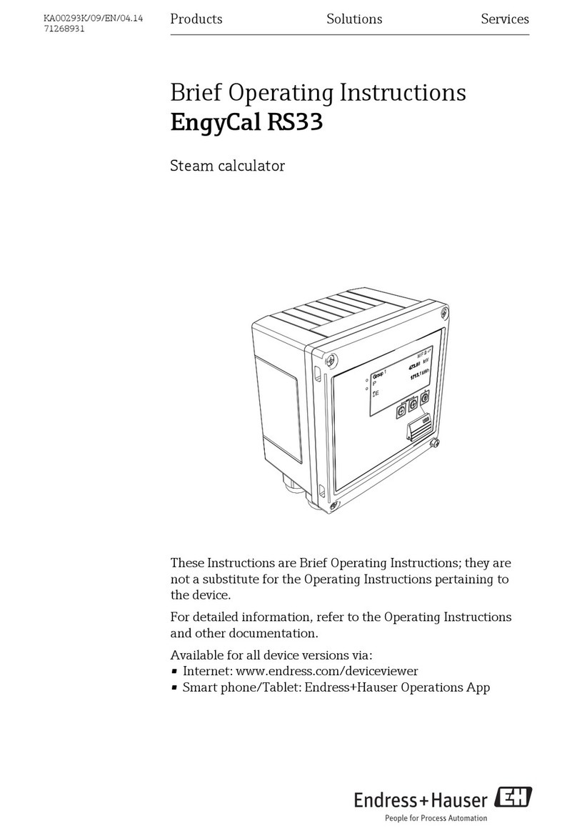 Endress+Hauser EngyCal RS33 Brief operating instructions