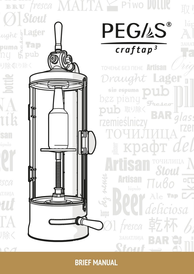 PEGAS CRAFTAP 3 Brief manual