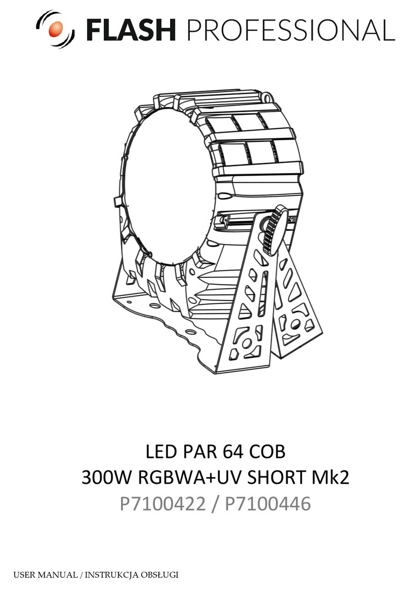 Flash professional P7100422 user manual Flash professional P7100422 user manual