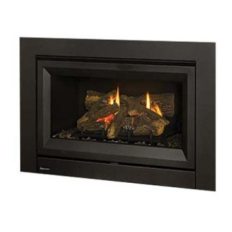 Regency Fireplace Products DVi34L Series Owners & installation manual