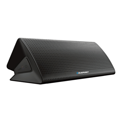 Blaupunkt BLP3200 user manual