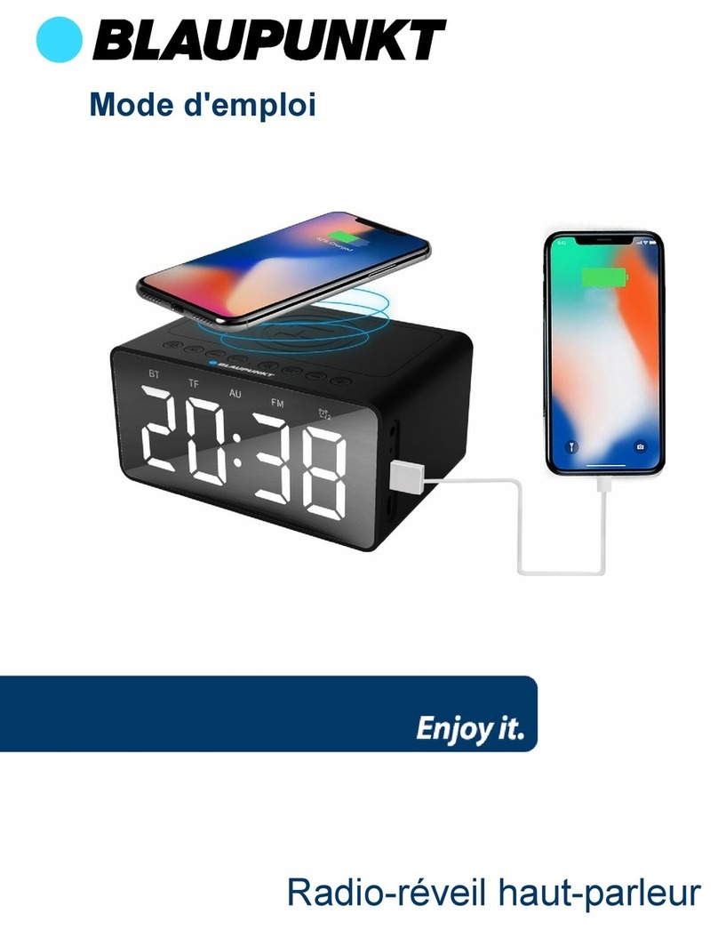 Blaupunkt BLP2830 User manual
