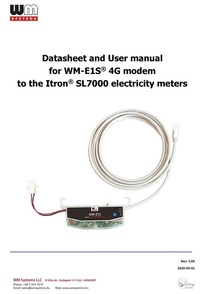 WM Systems WM-E1S Datasheet and User Manual