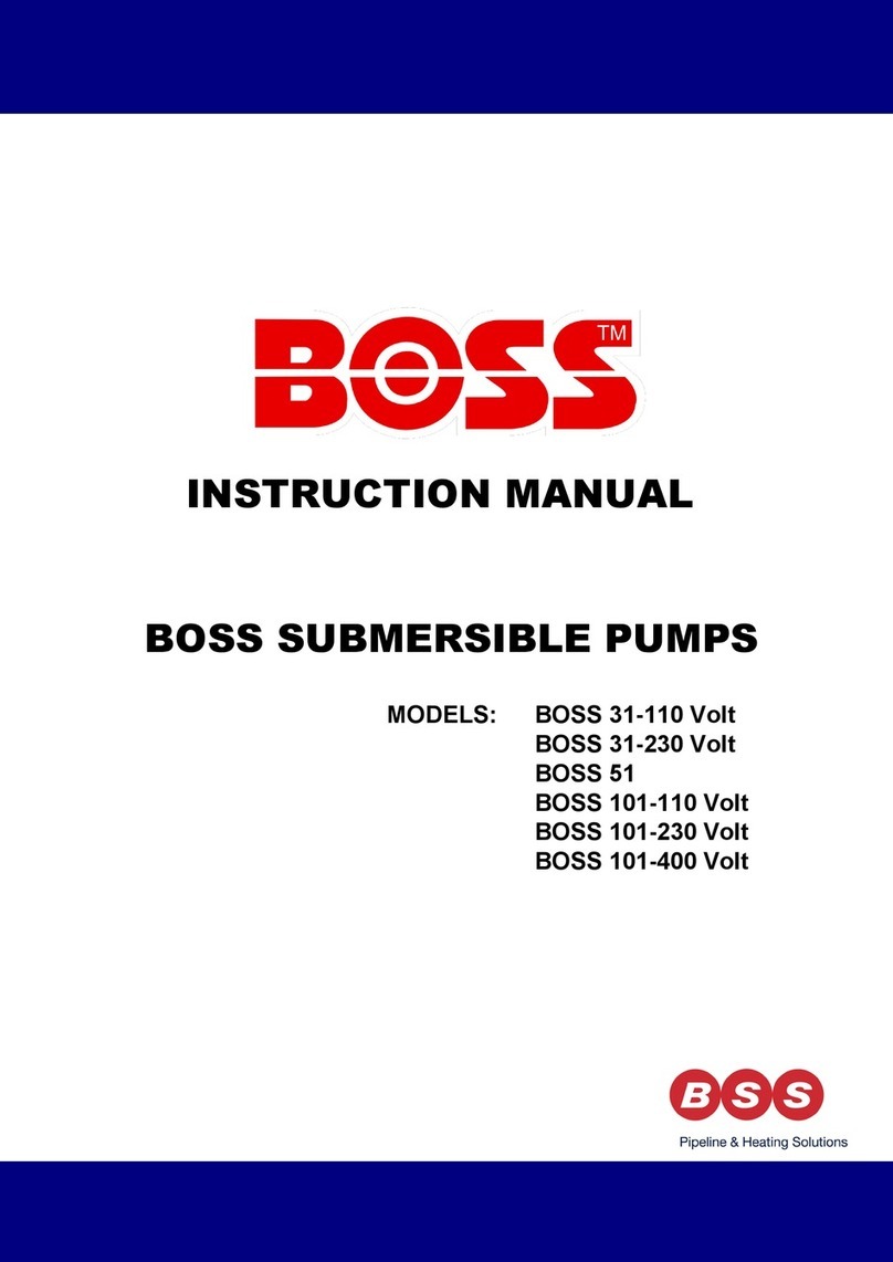 BSS Audio BOSS 31-110 Volt instruction manual BSS Audio BOSS 31-110 Volt instruction manual