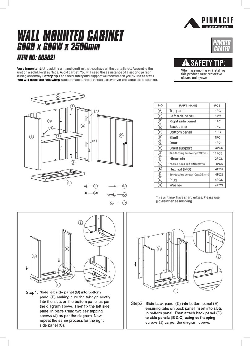 Pinnacle G0S021 manual