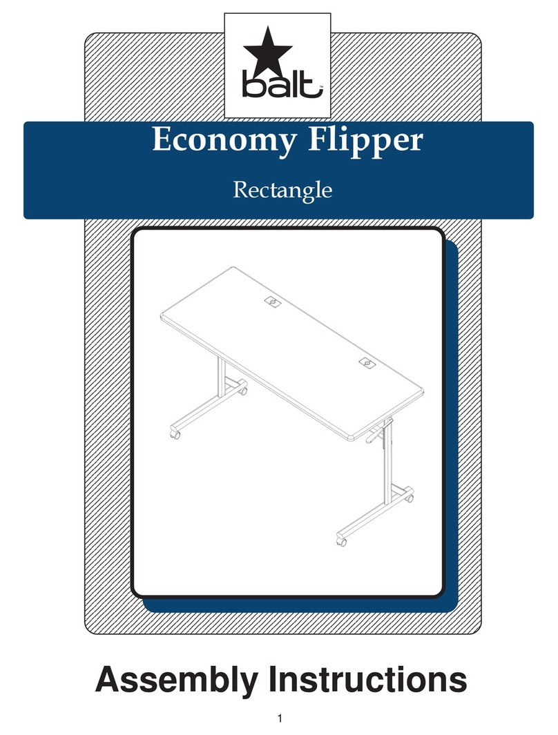 Balt Economy Flipper User manual