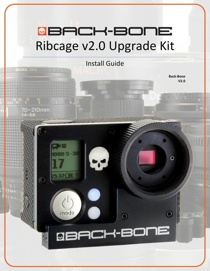 Backbone Ribcage v2.0 install guide