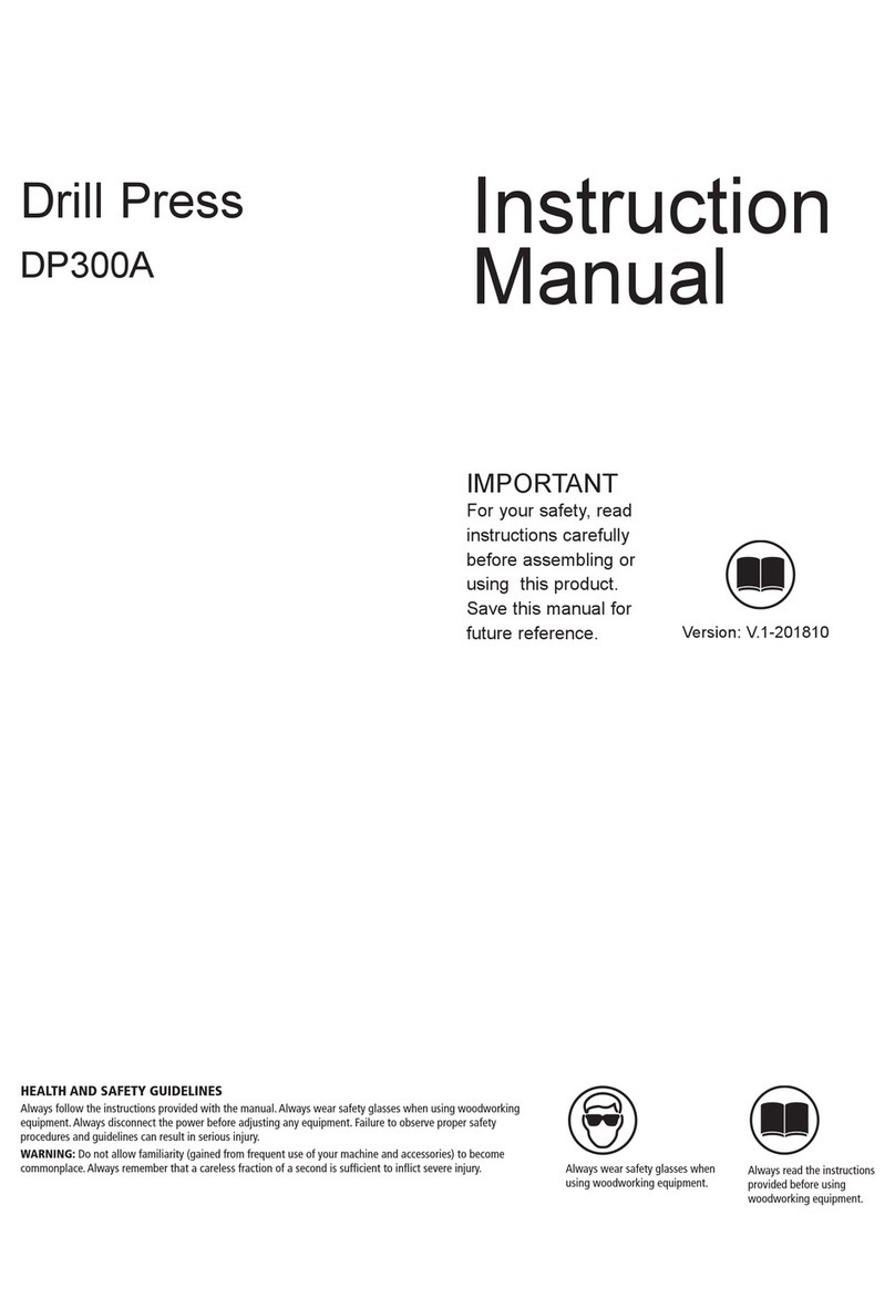 WoodFast DP300A instruction manual