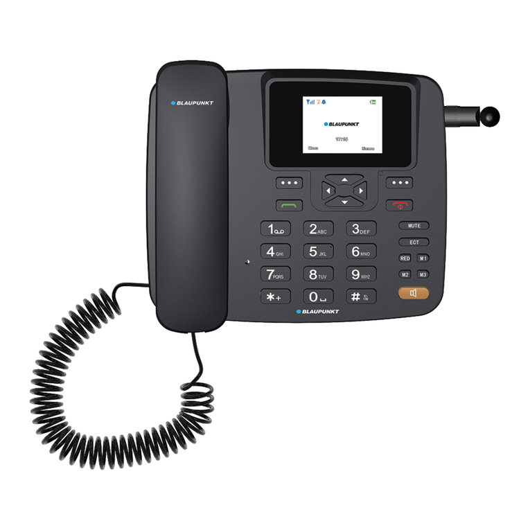 Blaupunkt DT 01 Quick user guide