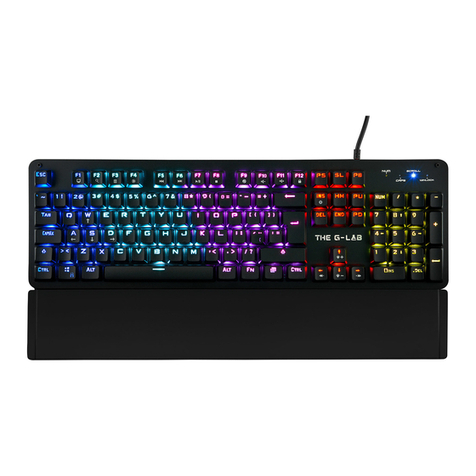 Glab KEYZ CARBON E User manual