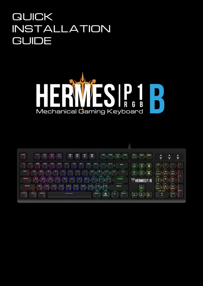 GAMDIAS HERMES P1B Quick installation guide