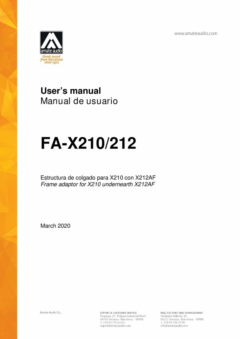 Amate Audio FA-X210 user manual