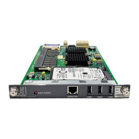 Avaya S8300 Series Manual
