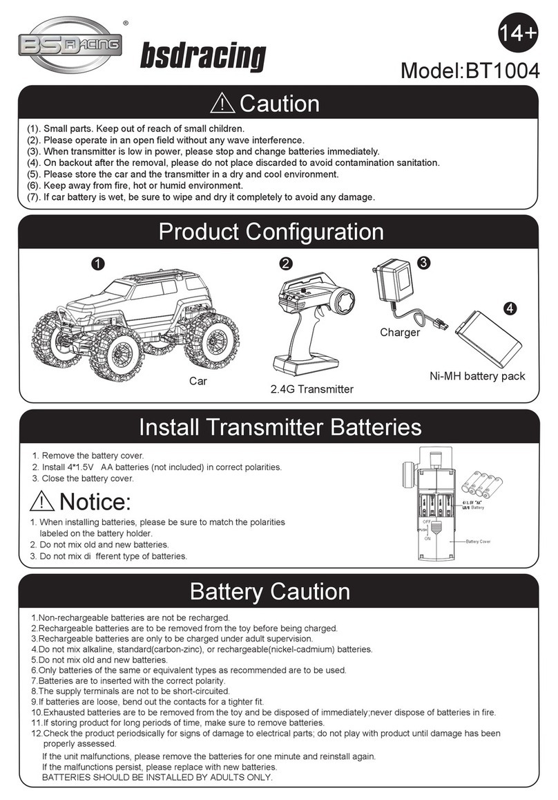 BSD-Racing BT1004 User manual