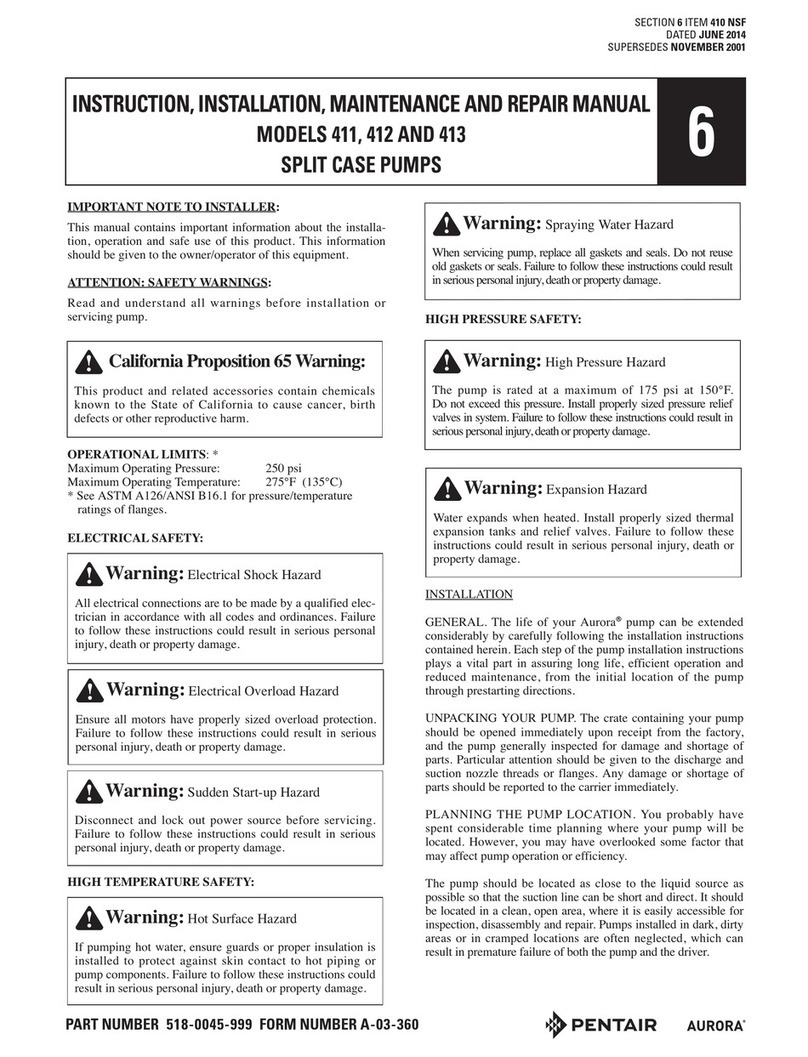 Pentair AURORA 411 Installation maintenance repair manual