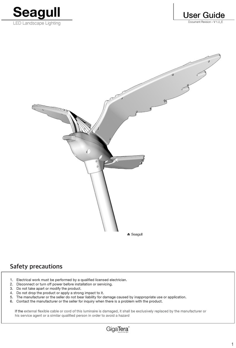 GigaTera Seagull user guide