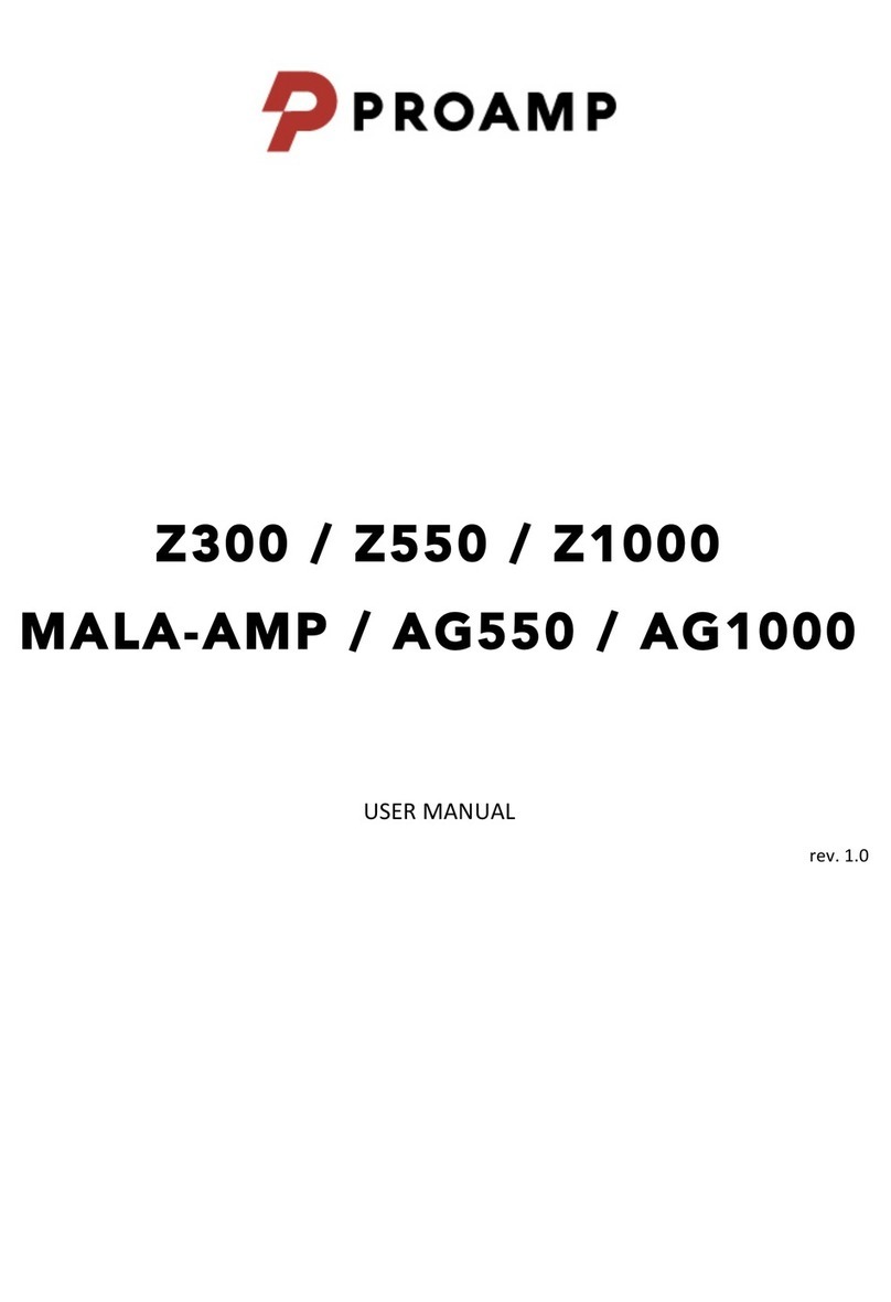 PROAMP Z300 user manual