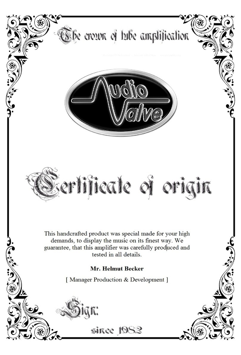 Audio Valve Prometheus 100 User manual