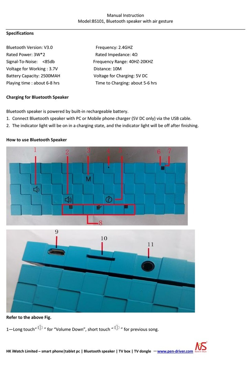 HK iWatch BS101 instruction manual