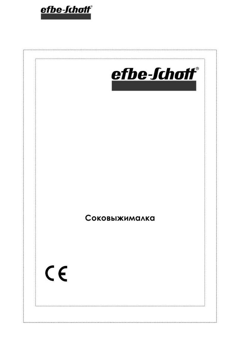 EFBE-SCHOTT E2 manual
