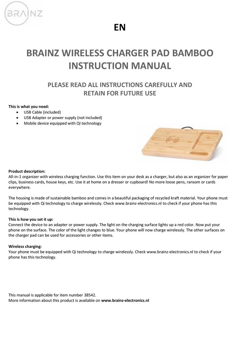 Brainz 38542 instruction manual