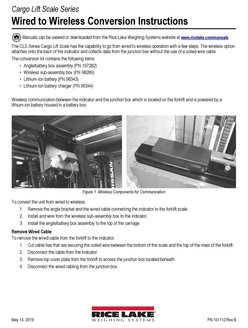 Rice Lake CLS Series instructions