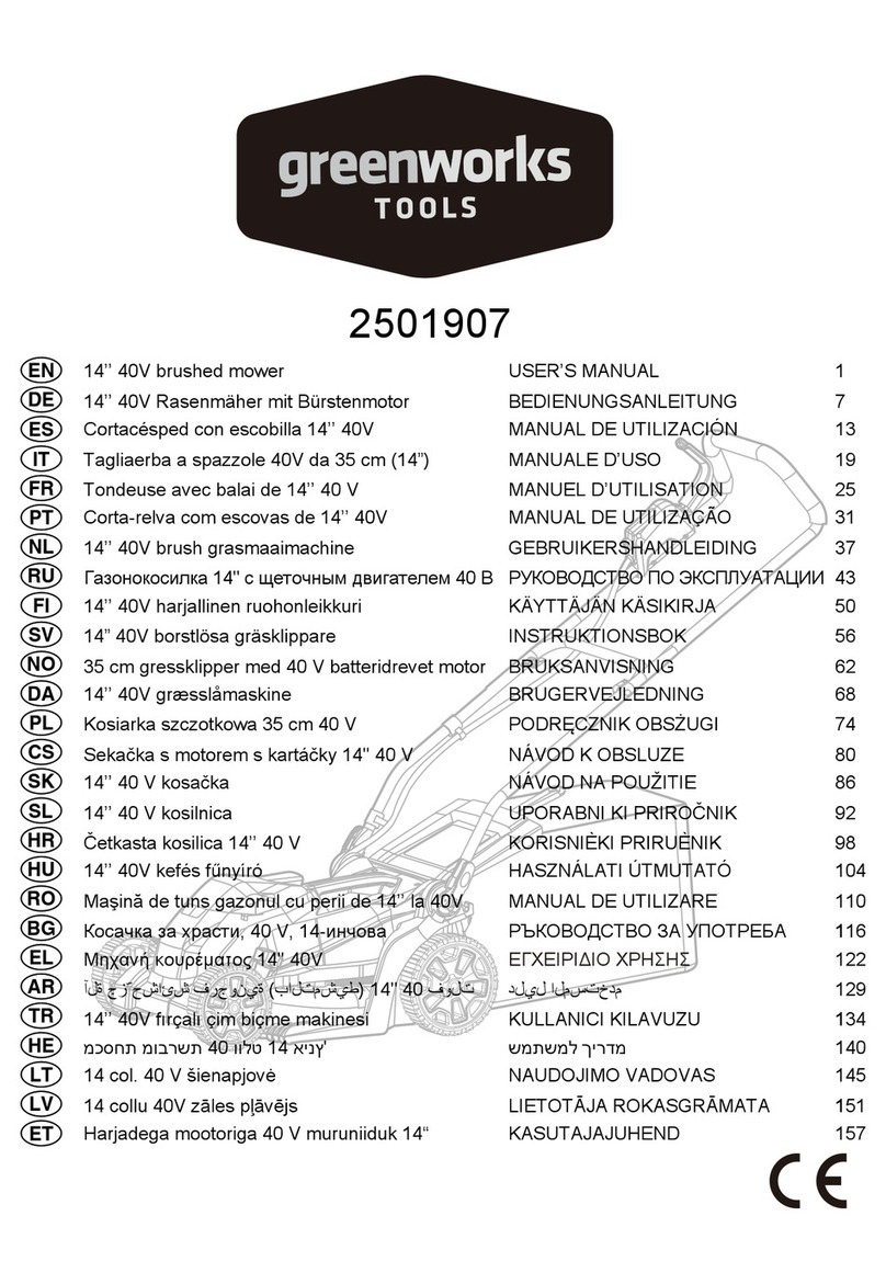 GreenWorks Tools 2501907 user manual