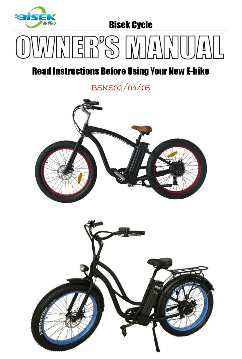 Bisek BSKS02 owner's manual