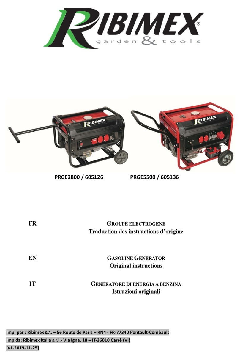 Ribimex PRGE2800 User manual