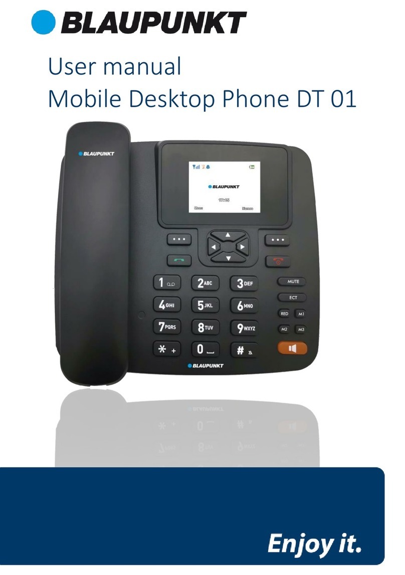 Blaupunkt DT 01 user manual