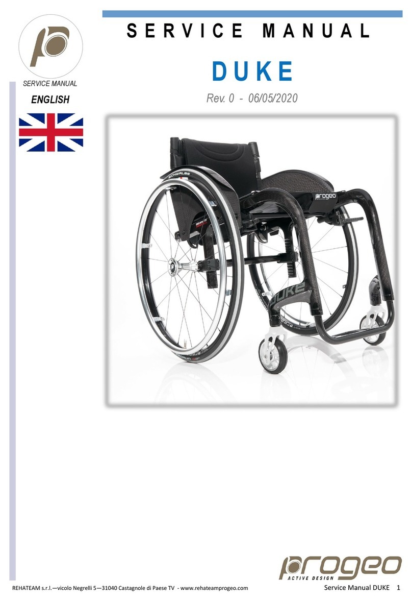 progeo DUKE User manual