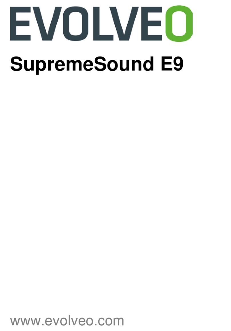 Evolveo SupremeSound E9 user manual