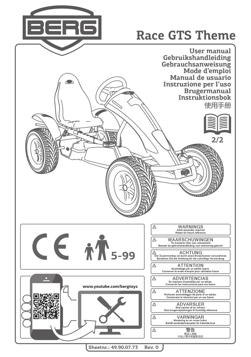 BERG Race GTS Theme user manual