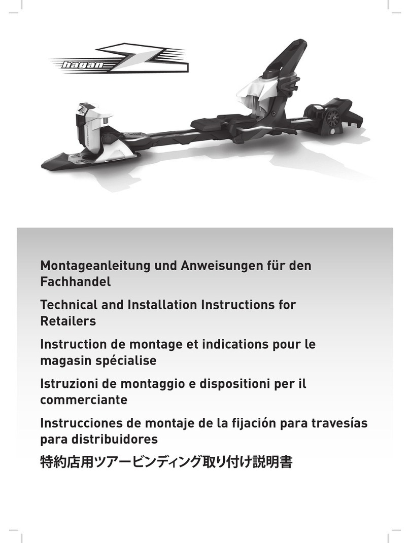 Hagan Z01 installation instructions