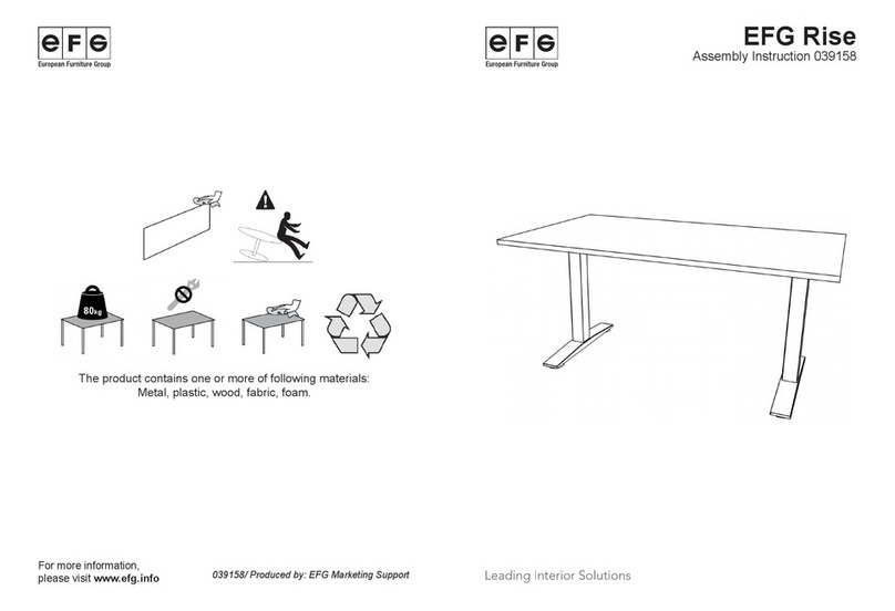 EFG Rise User manual