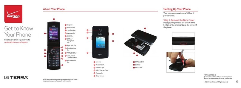 LG TERRA Specification sheet