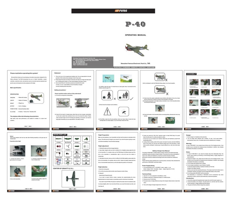 FMS P-40 User manual