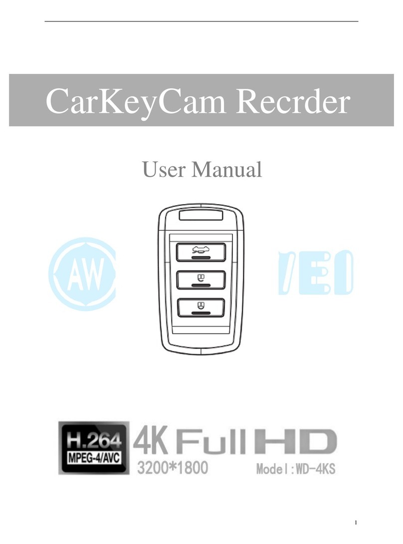 Jin-Wei WD-4KS user manual