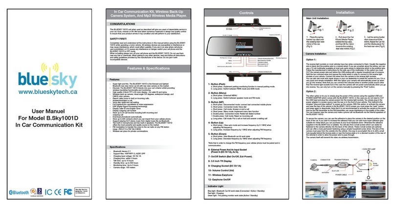 Bluesky B.Sky1001D user manual