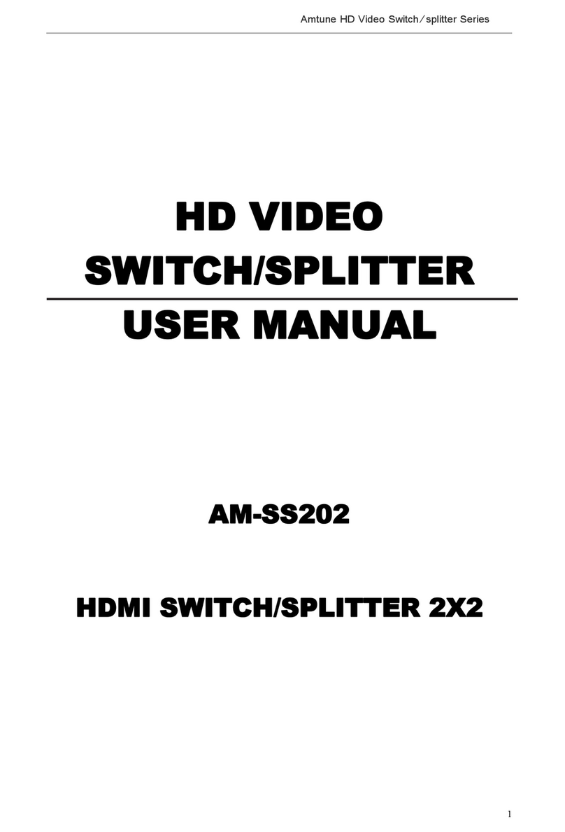 Amtune AM-SS202 user manual